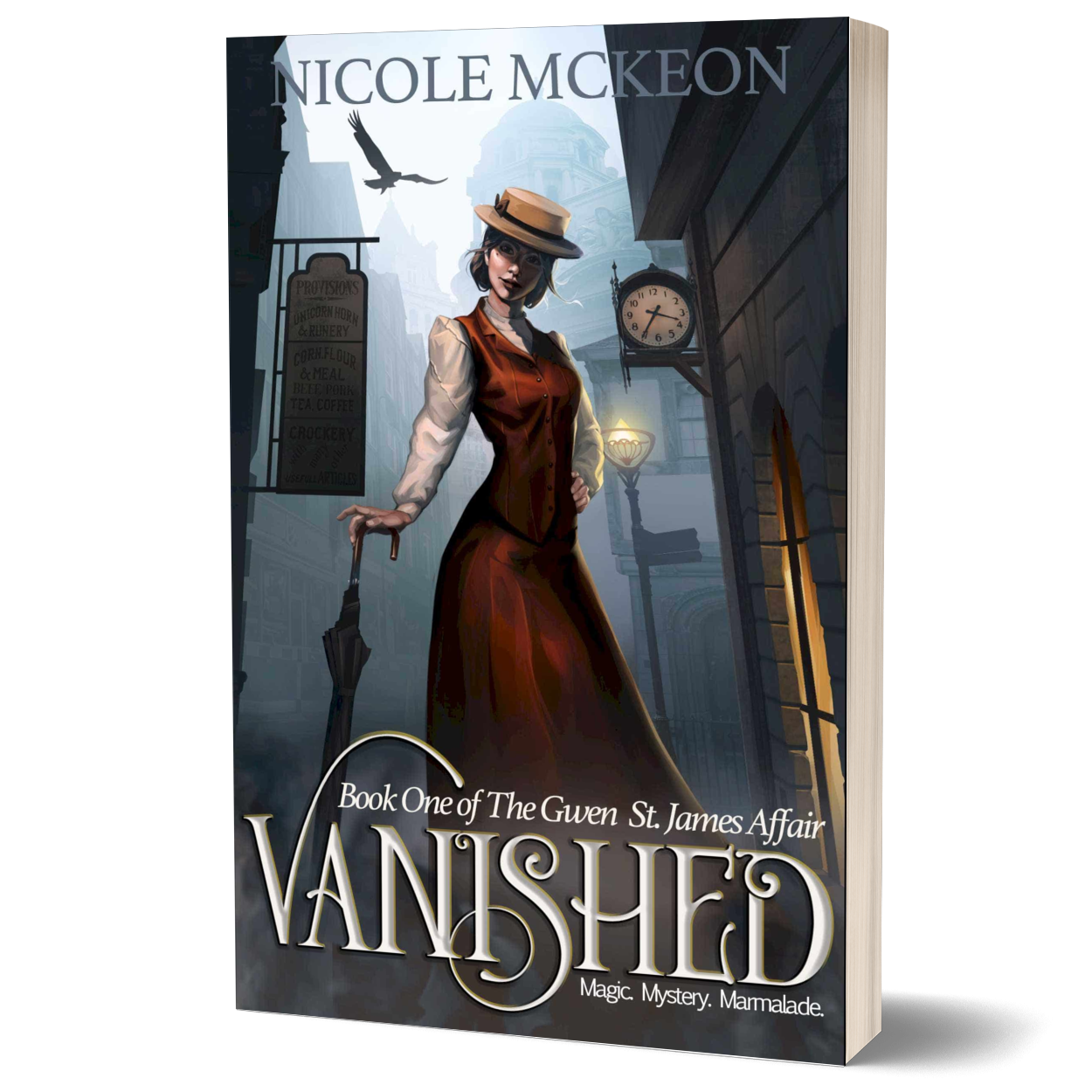 Vanished Paperback: Book 1